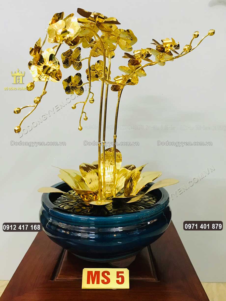 Mẫu chậu hoa Lan 05